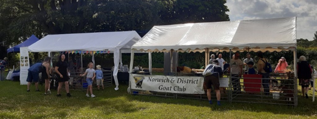 Day at Gressenhall: Representing Goats and Smallholding on Open Farm&nbsp;Sunday